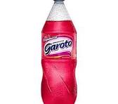 Framboesa Garoto 2L